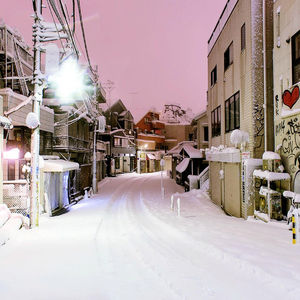 国产美女无遮挡免费视频
